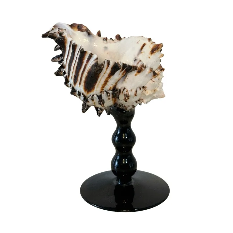 Vintage Natural Black Conch Shell Cocktail Glass Unique Short Tumbler Elegant Birthday Gift for Her Rustic Home Bar Decor