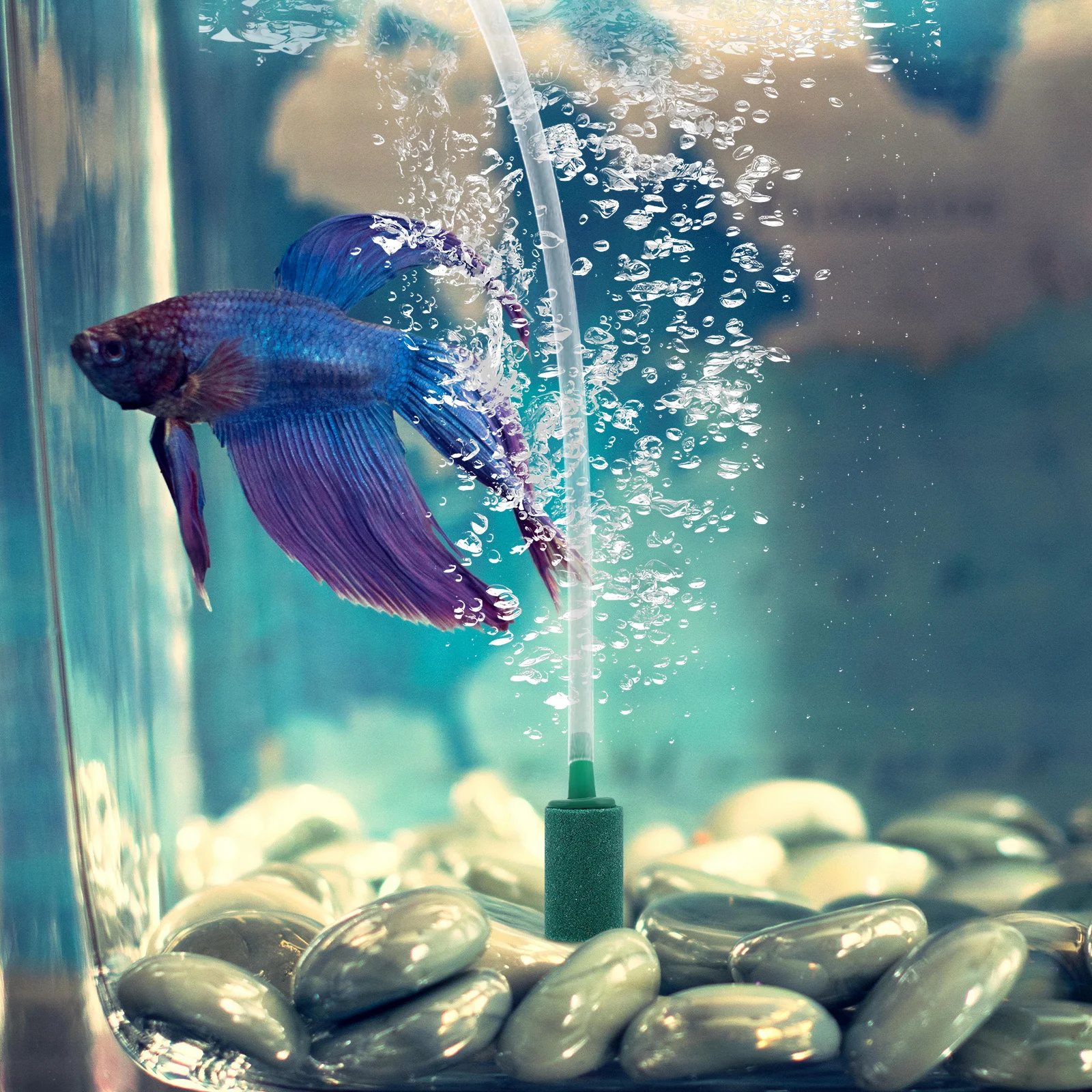 10 قطعة حوض السمك أحجار الهواء قطاع تصميم الرمال الملمس الفوار لخزان الأسماك الأكسجين مهوية الزراعة المائية اكسسوارات #3