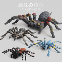 Realistic Insect Animal Model Simulation Of Spiders Solid White Lacquered Spider Action Figures Toys For Children Christmas Gift