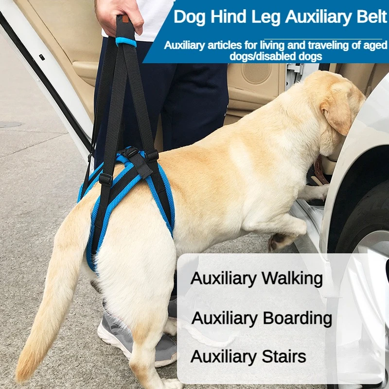 Pet Leg Straps, Walking Brackets, Dog Leg Protectors, Hind Leg Disabilities, Injuries, and High Age Dog Assistive Straps