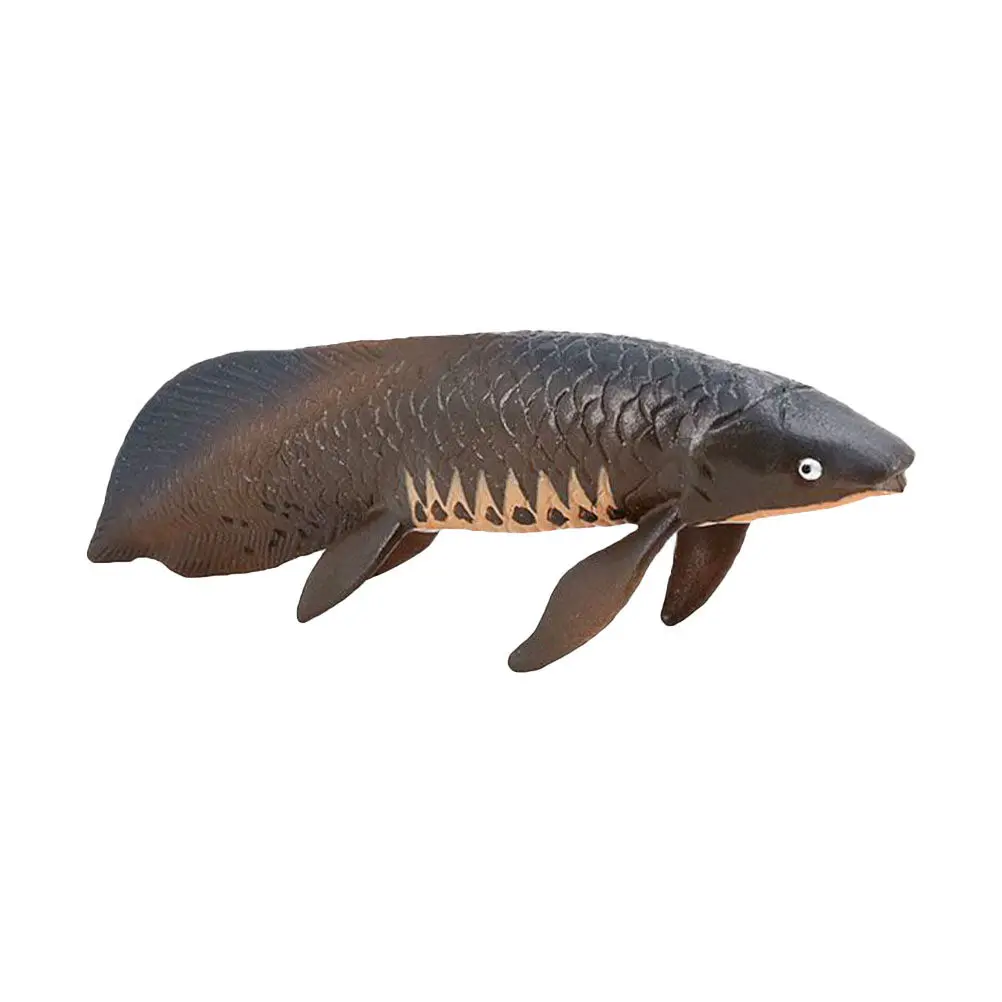 

Simulation Plastic Fish Decorative Lifelike Ornament Cognitive Marine Animal Educational Desktop Children Fish