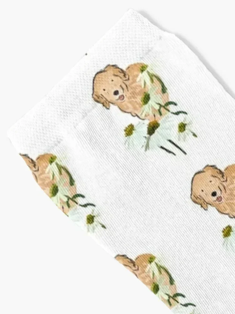 Flower Queso Socks fashionable floral custom sports moving stockings Mens Socks Women's