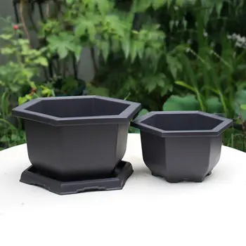 10 best sales עציץ בונסאי גדול - №6