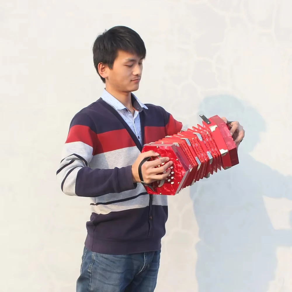 IRIN Concertina Accordion 20-Button Hexagon Accordion with Carrying Bag Adult Primary Professional Playing Hexagon Accordion