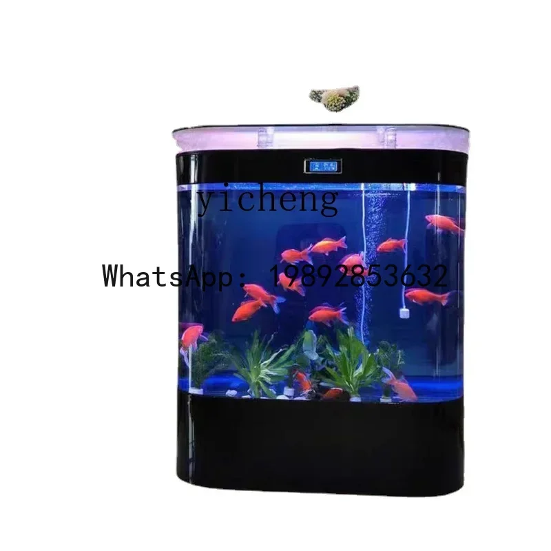 Semicircle Glass Fish Tank Wall Cylinder Living Room Home Change Water Ecological Aquarium
