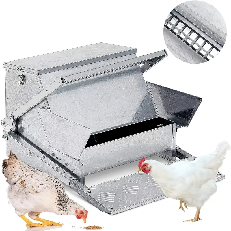

Pet Feeder Automatic Feeder Large Capacity Waste-Free Chicken Feeder Galvanized Steel Chicken Step Plate Feed