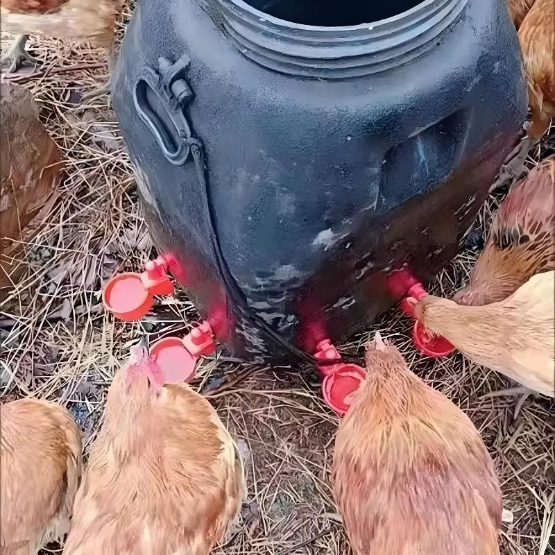 * 10/20Pcs Chicken Duck Drinking Cup Automatic Drinker Chicken Feeder Plastic Poultry Farm Water Drinking Cups Easy Installation view 5