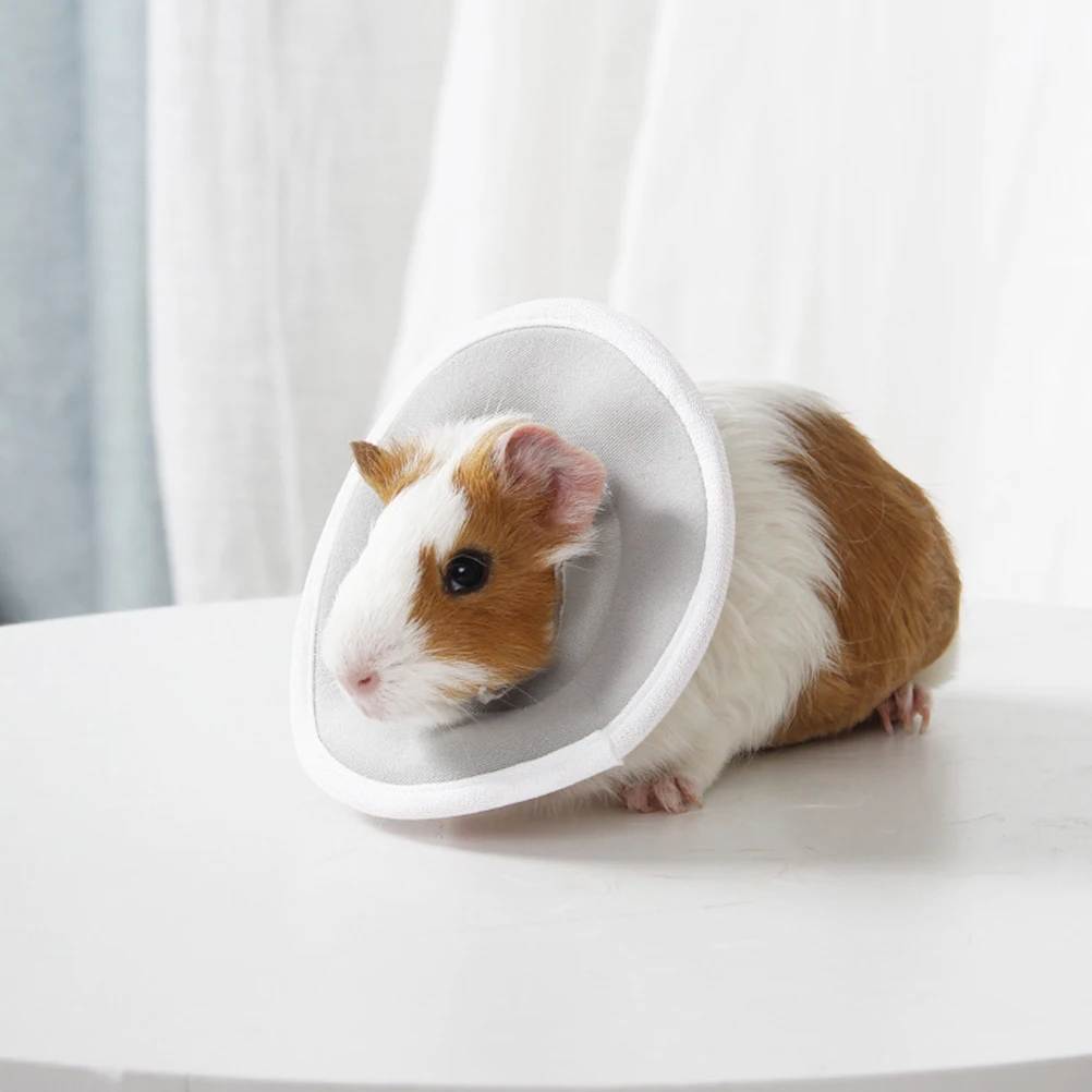 

Pet Protection Ring Pets Neck Collar for After-injury Guinea Pig Elizabeth Small Breed