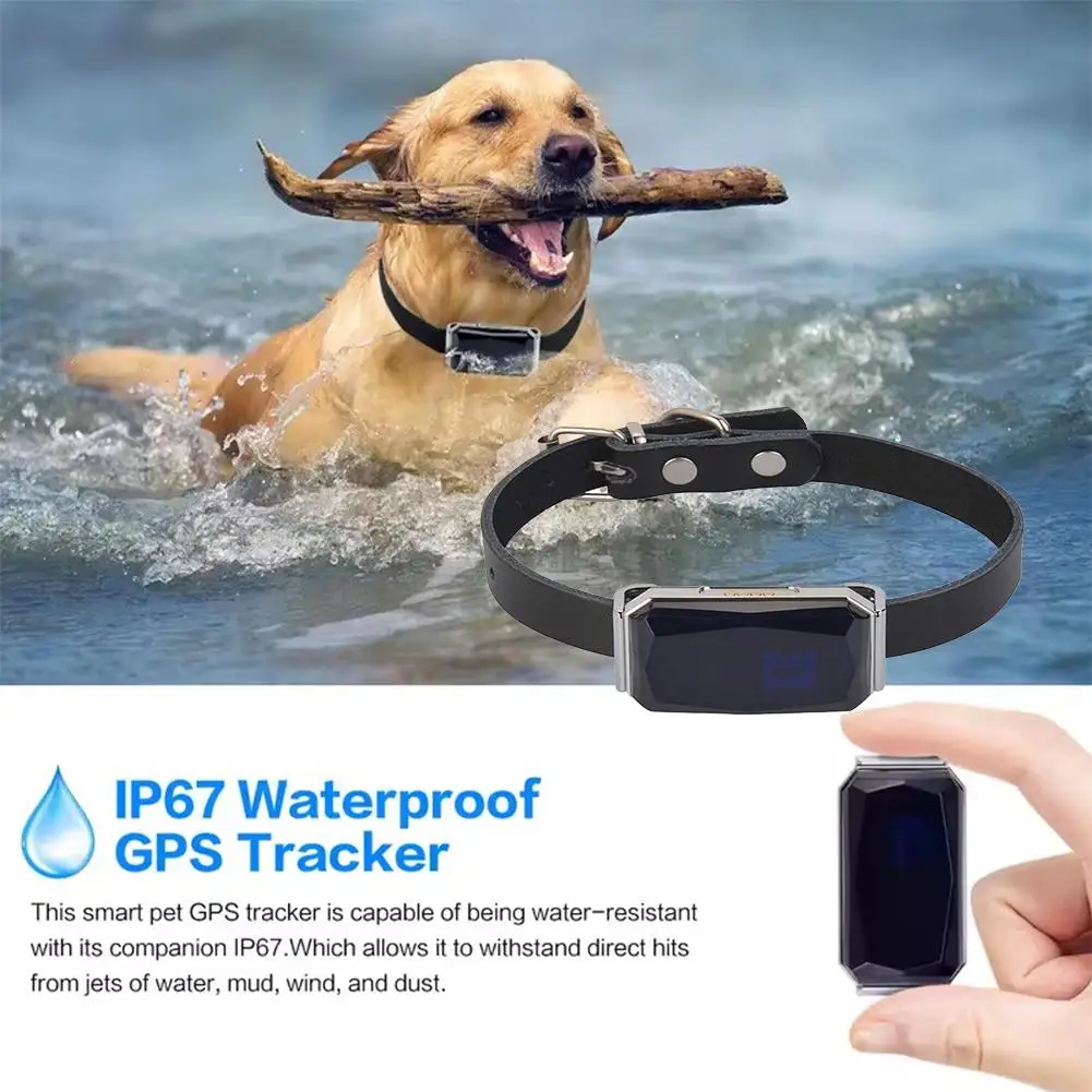 Per G12 Pet Collare Localizzatore Per Gatti e Cani Cuccioli Anti Perso Localizzatore Globale A Distanza 500mA Smart Impermeabile Localizzazione GPS Collare R2U9