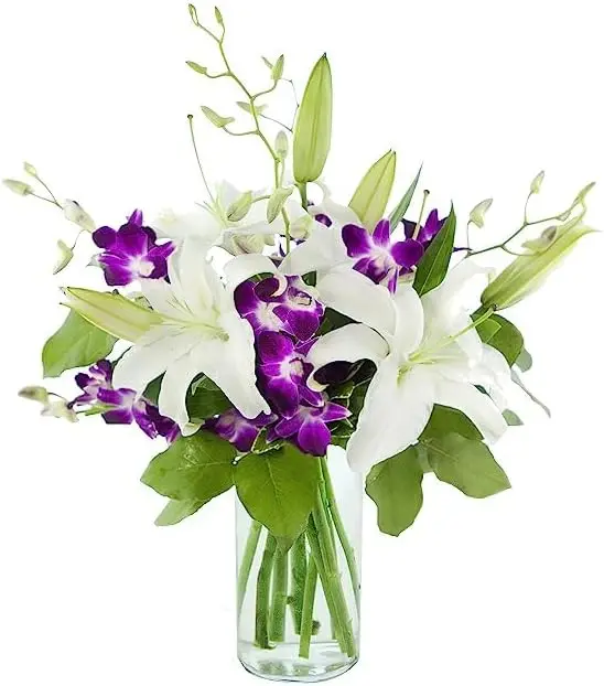 Tranquil Sympathy Harmony - Ramo de 3 Lirios Orientales Blancos, 5 Orquídeas Púrpuras y 3 Ruscus Israelíes con Florero - Flores Frescas para Cumpleaños, San Valentín y Día de la Madre