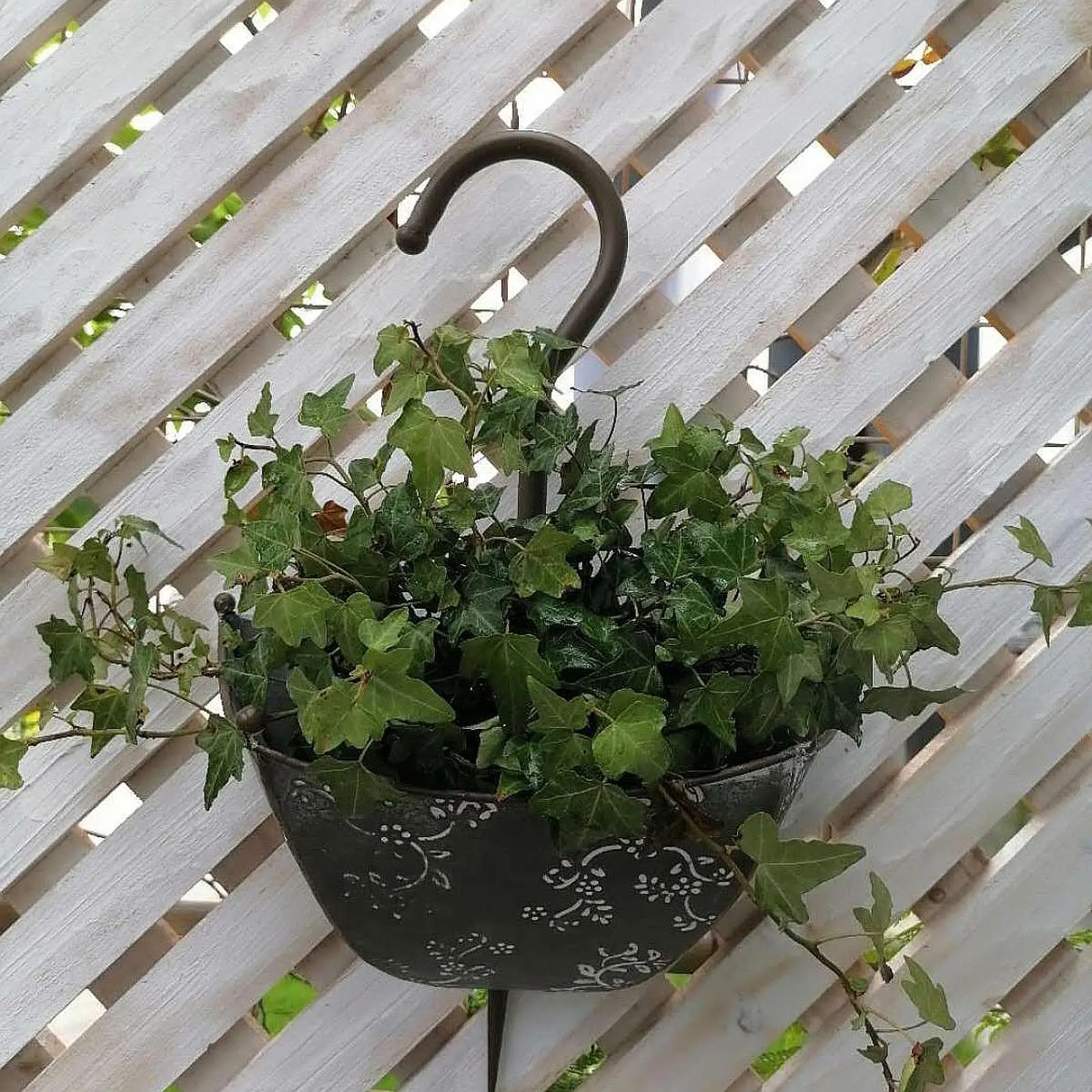 

Wall Flowerpot Metal Umbrella Shape Planters for Outdoor Garden Balcony Fence Indoor Decoration Hanging Wall Tray