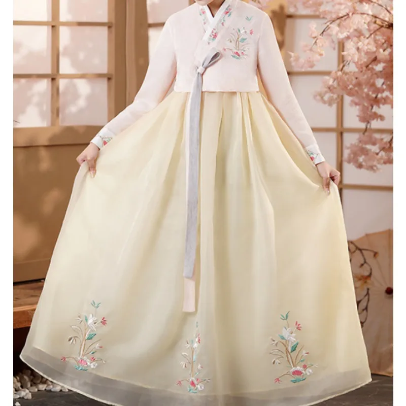 

Hanbok Female Adult Dance Performance Dress Minority Korean Clothing Performance Dress Can Be Used for Daily Travel Super Fairy
