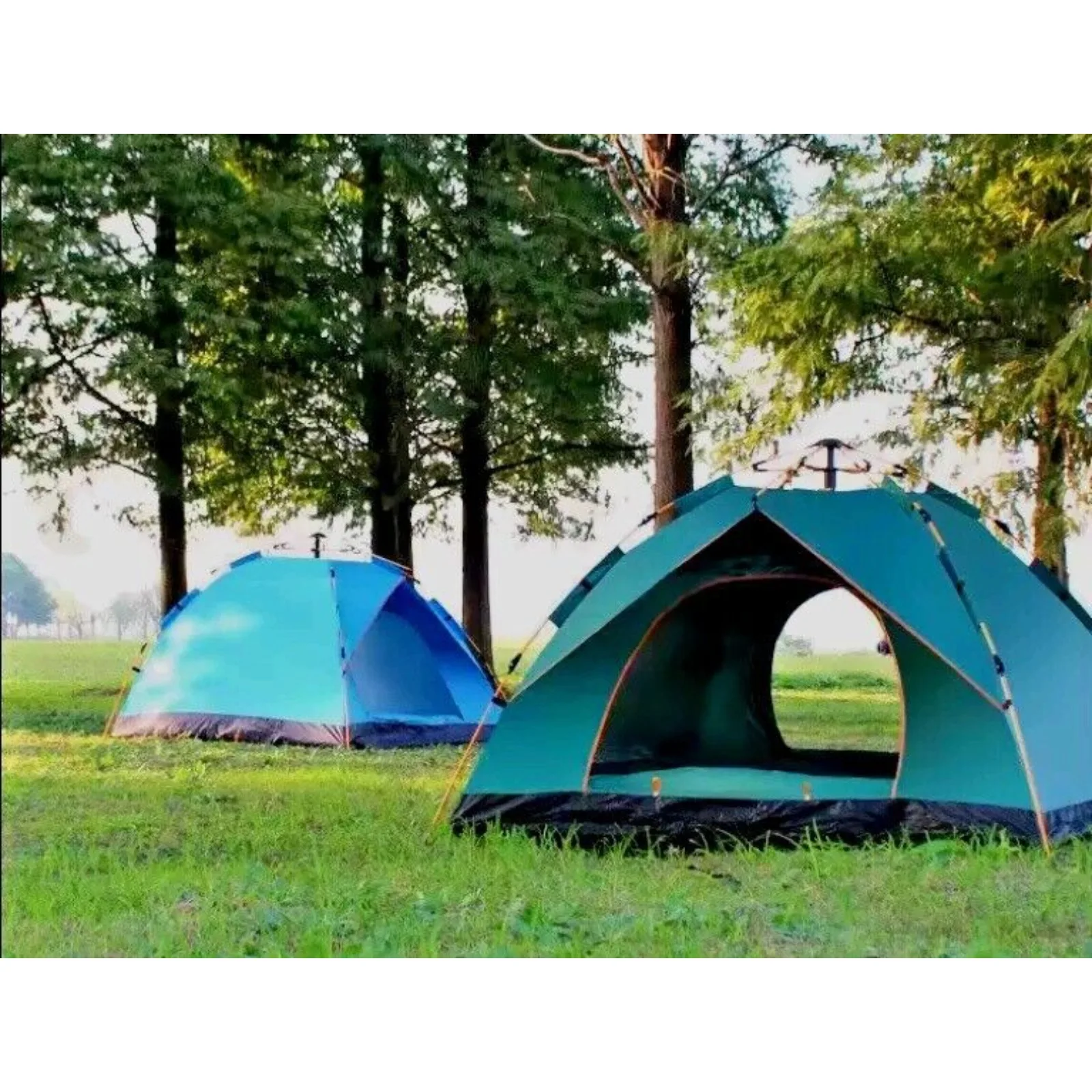 3-4 Person Full Automatic Pop up Tent for Family Camping Hiking Waterproof Green United States