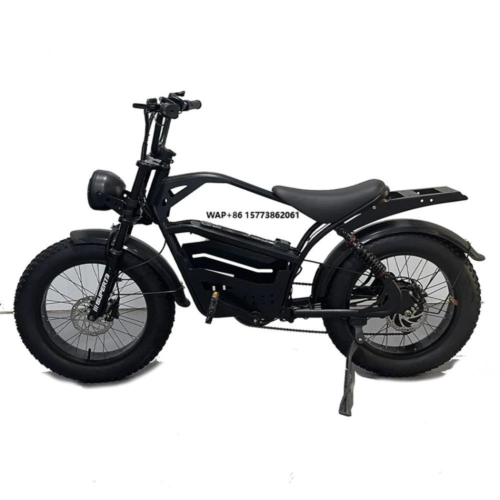 

Hybrid Electric Bicycle 1000W Large Adult Off-Road Vehicle with 60km Range 48V 15ah Brushless Motor Made in China