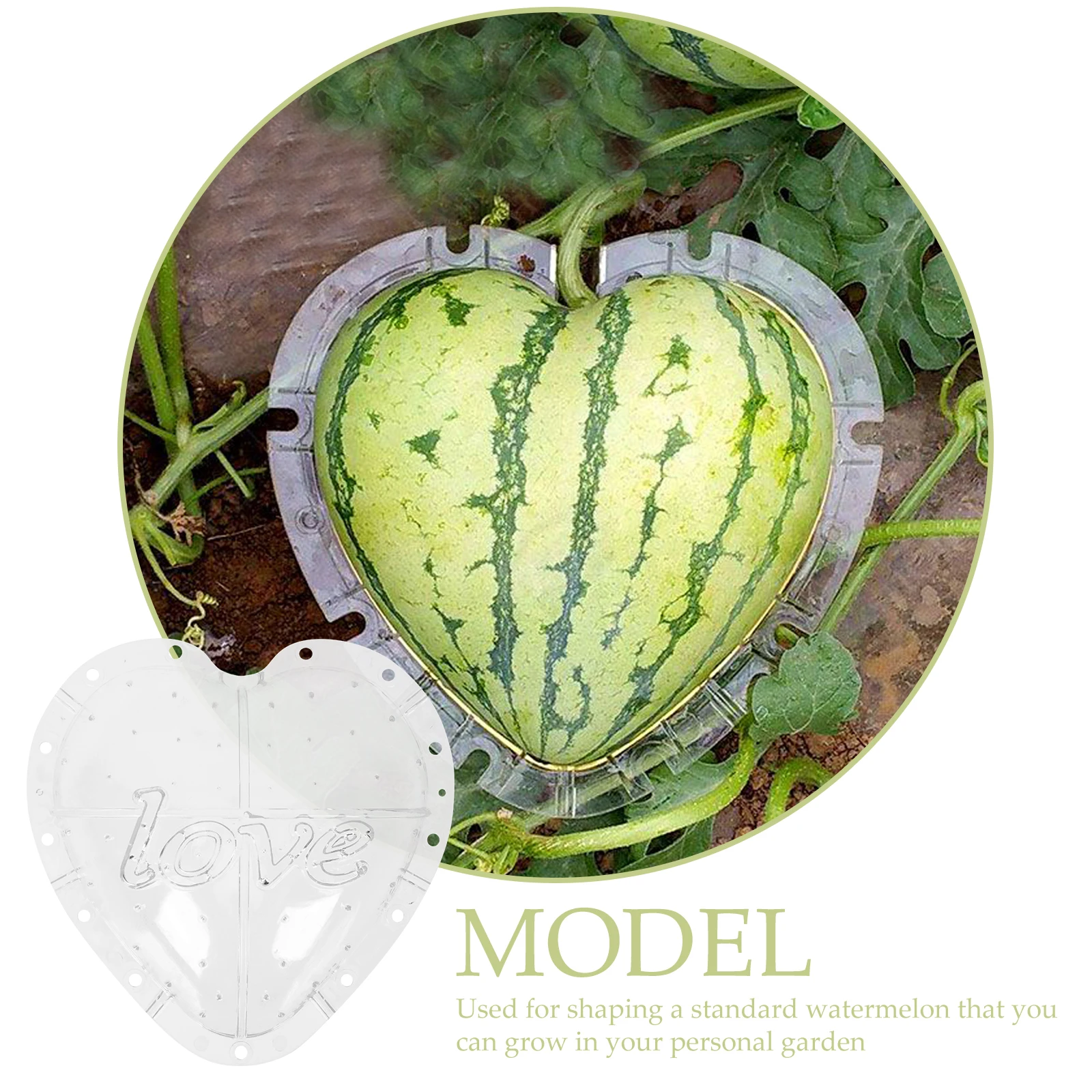 

Heart Shaped Watermelon Mold Fruit Forming Tool Transparent Safe Sturdy Gardening Supplies 127 Watermelon Growing Mold