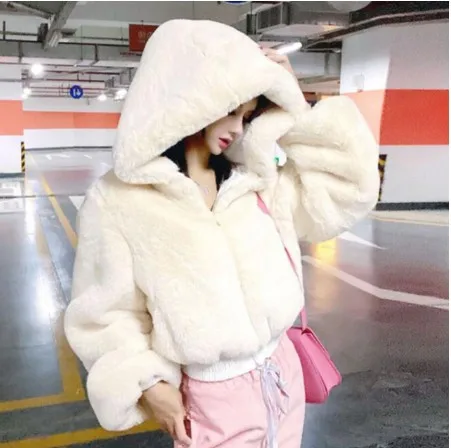 Fashion Zipped Up Coat Women's Hooded Outwear Female Parkas Winter Lamb Fur Fleece Coat Y2k Korean Fashion Vintage Crop Jackets