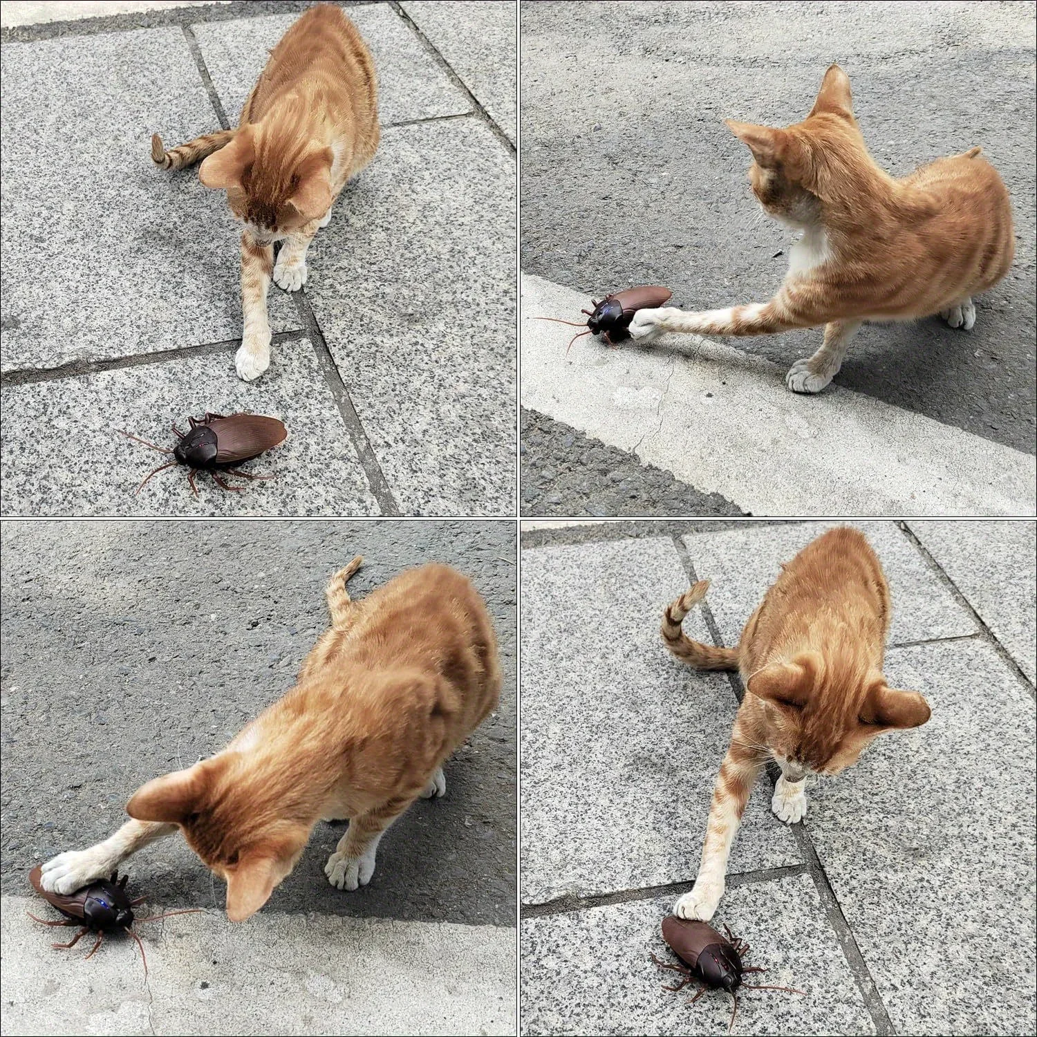 Electronic Animal for Cat,Electronic Realistic Fake Bug Glowing Eyes Cockroach Toy,Prank Jokes Remote Control Fake Cockroaches