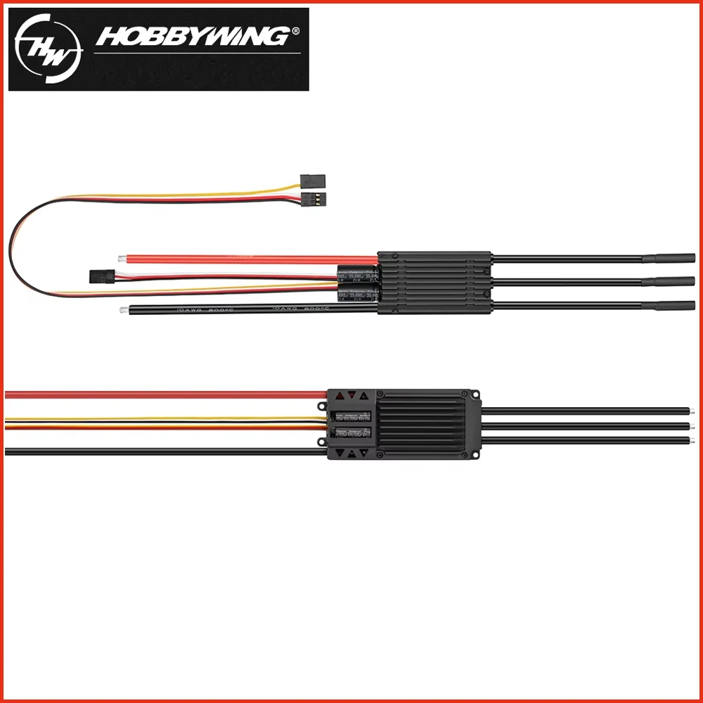 Hobbywing Skywalker…