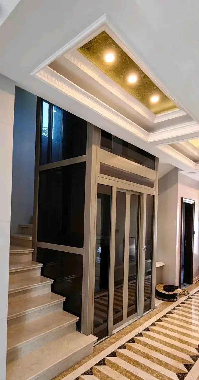 Best Price High Quality Energy Saving Building 6 Person 800kg Home Lift Passenger Elevator Price in China