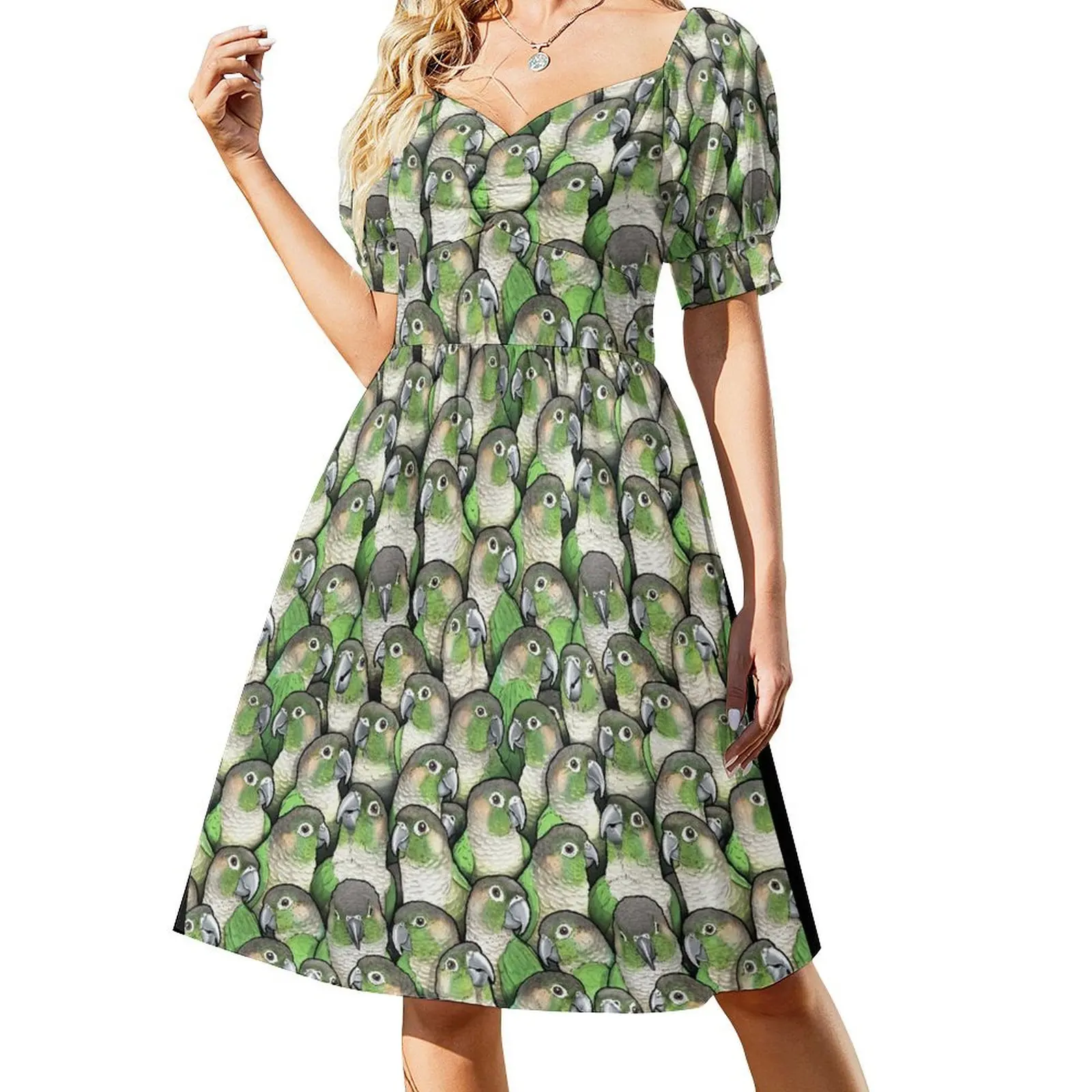 Green-cheeked Conures Short Sleeved Dress dresses with long sleeves women's evening dresses Dress