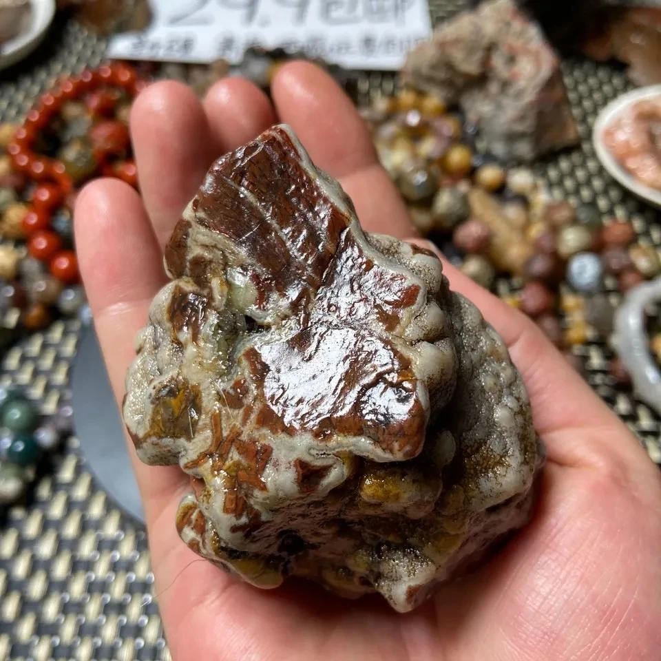 1Pcs Alxa Gobi Stone All Sorts Of Strange Things Stone Unique Shape Agate Color Jade Stone Alxa Pure Natural Random