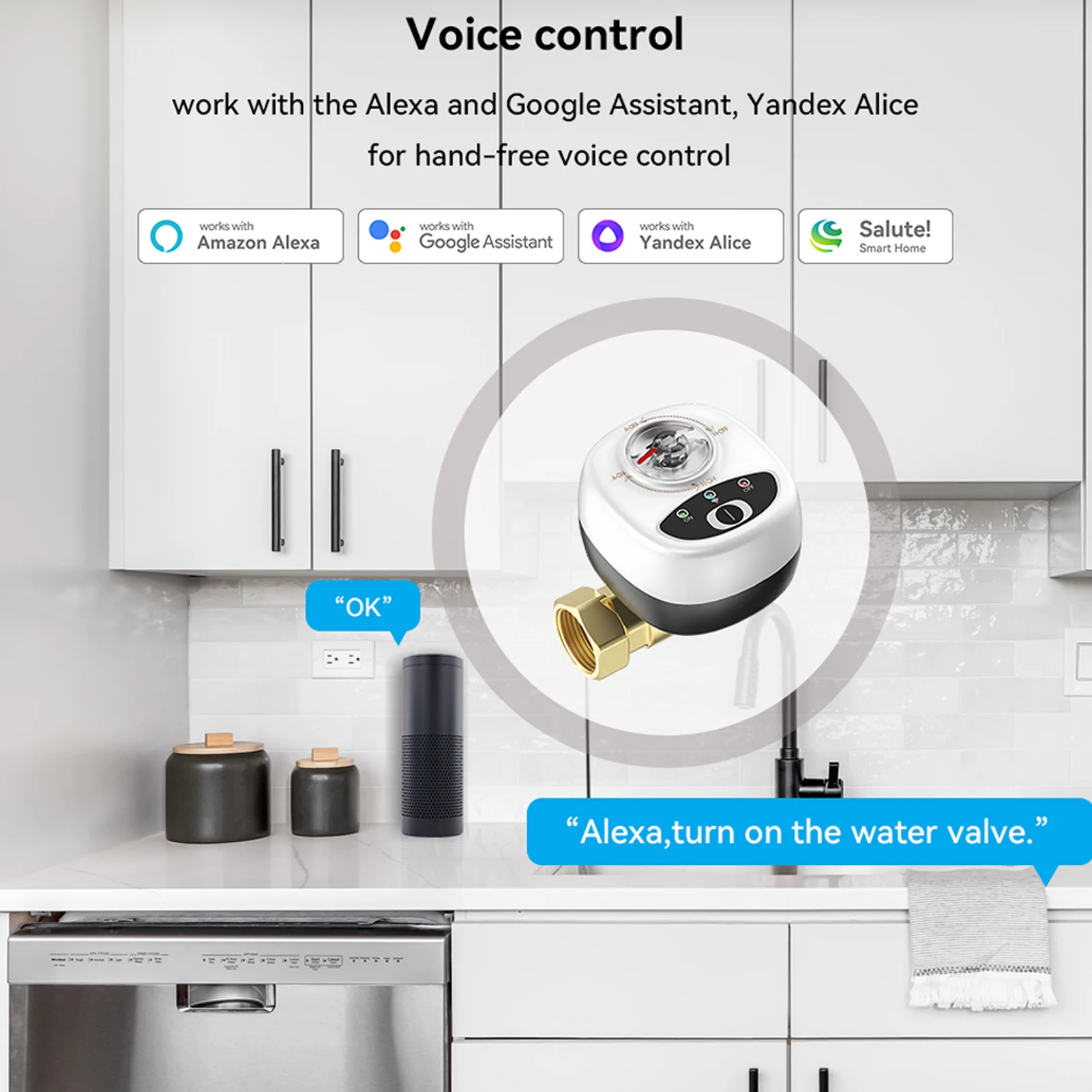 EWeLink WiFi Watervalve Automatic Switch Intelligent Ball Valve IP65 Rating Wireless Remote For Alexa Google Assistant Salute