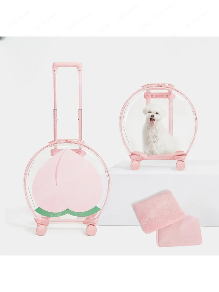 Bubble Box Cat Bag Outdoor Portable Luggage Transparent Pet Dog Trolley Case Space Capsule Large Capacity cat cage for travel