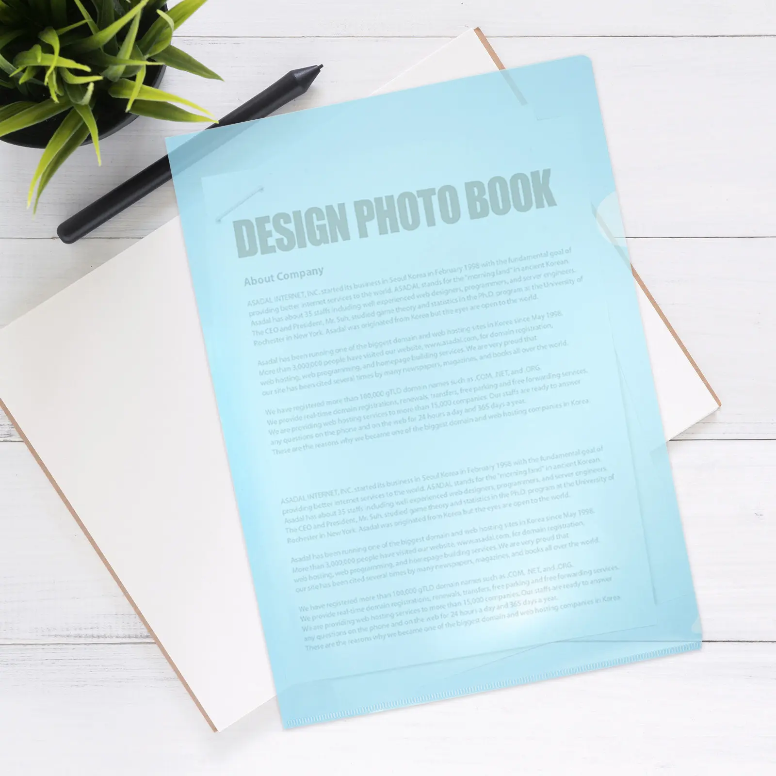 12Pcs Clear Plastic File Holders Document Sleeves Tear-Proof File Organizer for Office Student Document Protection and Paper