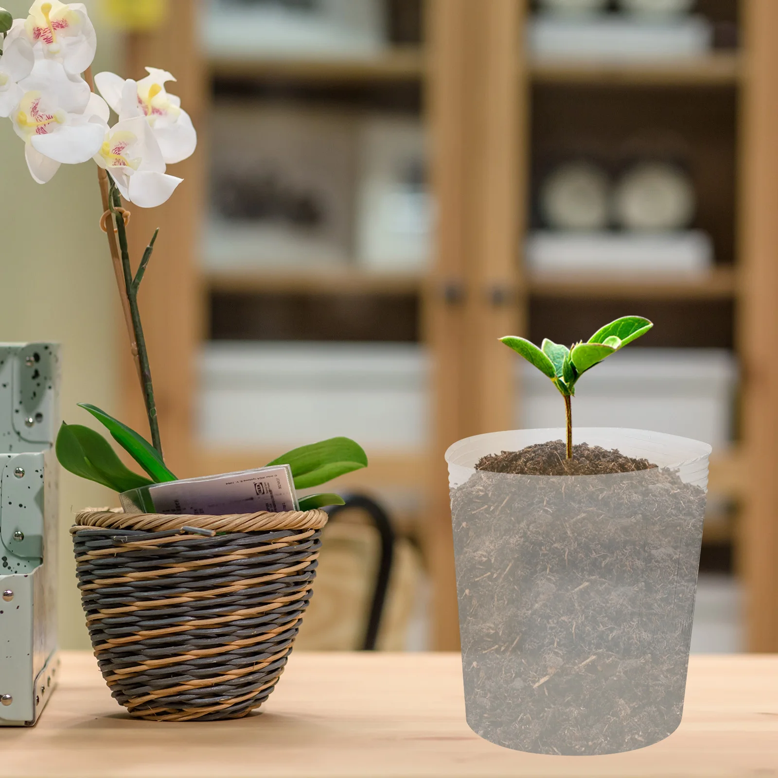 

36 pcs Nursery Cup Flower Pot Plastic Planter with Drainage Holes for Succulents Outdoor Plants Desktop Portable Containers