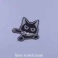 PE6653CT
