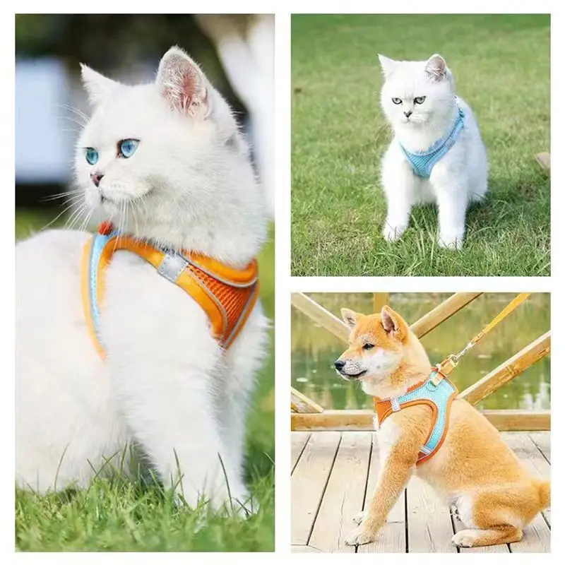 Pet Dog Cat Harness Escape Proof Safe Cat Vest Harness for Walking Outdoor Reflective Step-in Soft Mesh Pet Jacket