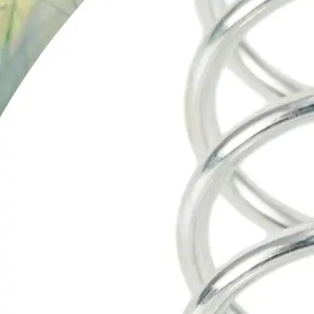 Inner Spring Replacement for 2 Line Trimmer Head Designed for Brushcutter Models Using Spool Cap Cover Spring Component