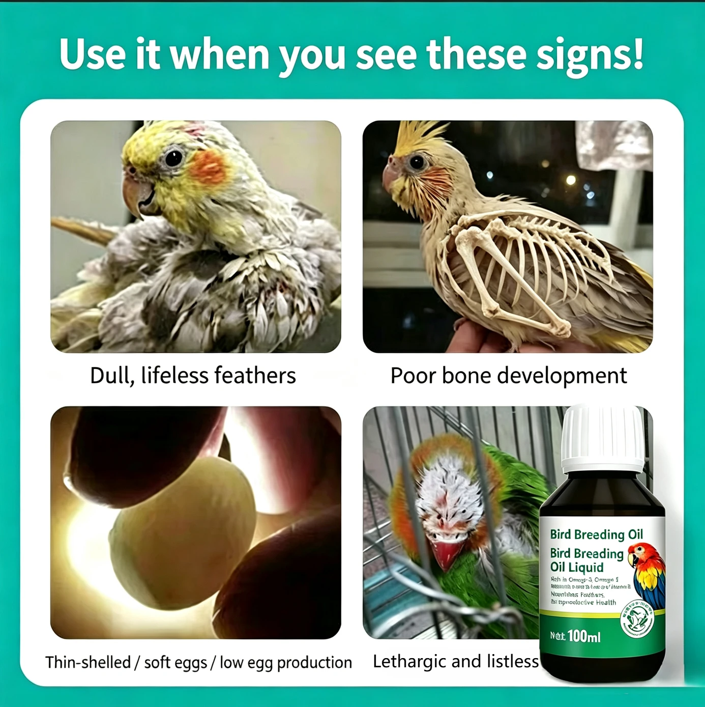 Multi-Effect Breeding Oil for Parrots - Vitamin E & Rutin Enriched Essential Nutrients - Promotes Mating And Fertility for Breed