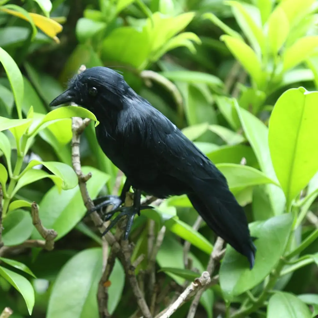 Black Crow Realistic Feather Artificial Bird Raven for Halloween Party Decor