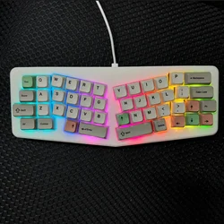Cyber_Alice 40% Keyboard Ultra Compact Layout 46Key RGB Hot Plug Backlight Single Mode Type-c Keyboards QMK/Vial Macro Keyboard