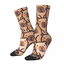 Sily Capybara Cartoon Socken männliche Herren Frauen Frühlings strümpfe gedruckt