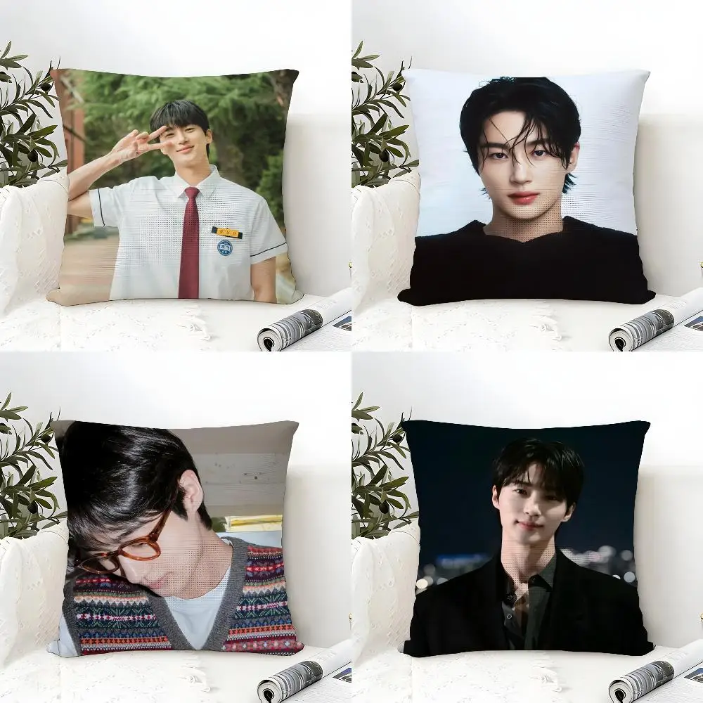 B-Byeon W-Woo-seok Korea Cushion Cover Eco Linen Pillow Case Double-Sided Print Breathable Durable Zipper Home Decor Gift