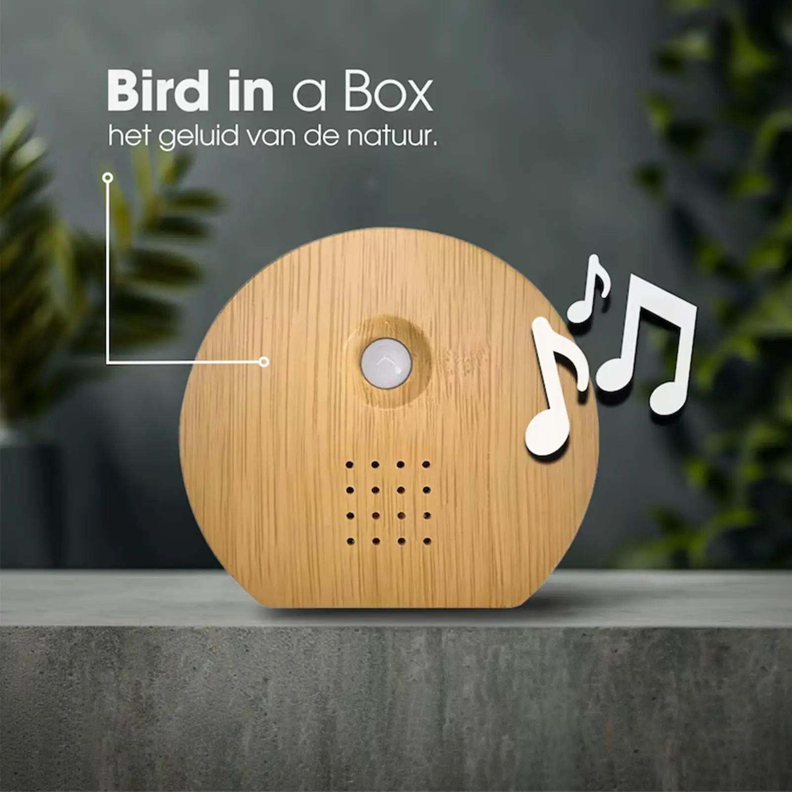 Altavoz de pájaro que canta, Sensor de movimiento, caja de sonido natural moderna, fabricante de ruido inteligente, altavoz para dormitorio, relajación, Yoga, estudio, Spa