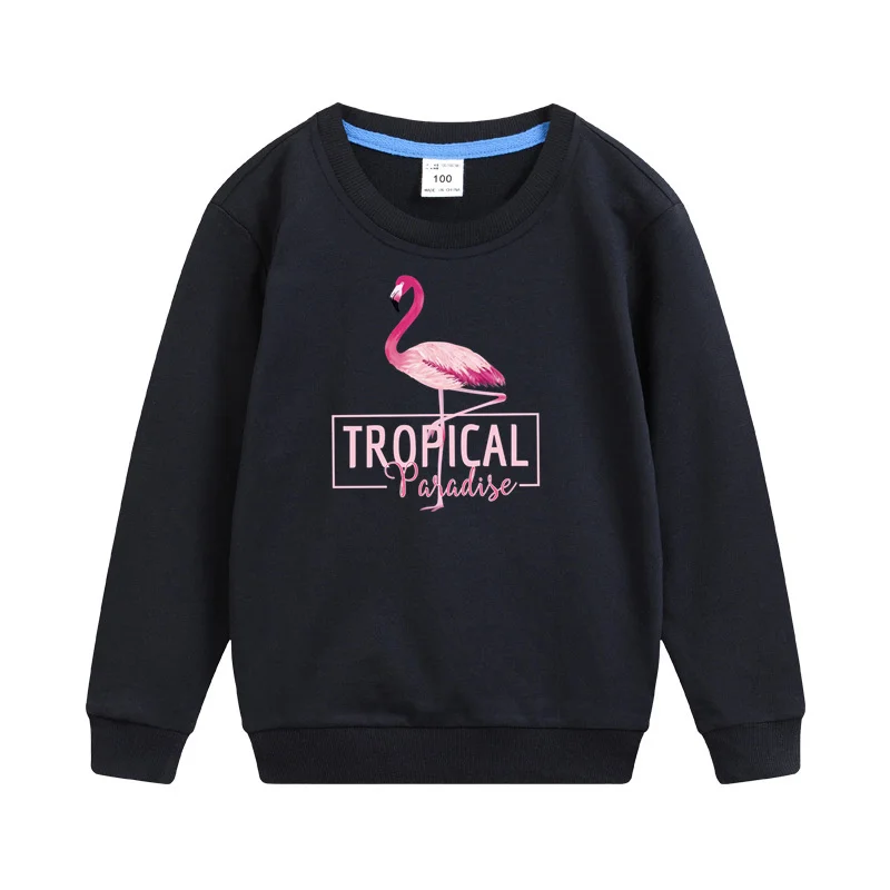 

Aimi Lakana Flamingo Cartoon Pullover Baby Girls Cotton Tops Round Neck Autumn Sweatshirt Girls Clothing 3T-14T