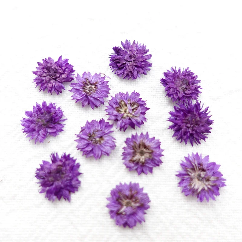 

100Pcs Small Fragrant Flowers, Dried Flowers, Pressed Flowers, Beauty and Nail Art Photography Props, Children's Handmade Greeting Cards, Bookmarks