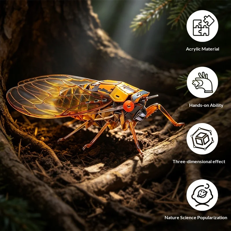 Ququ DIY Acrylic 3D Insect Puzzle Cicada Model, Stacked Wing Story Series, Glue-Free Assembly, Science Popularization Handicraft