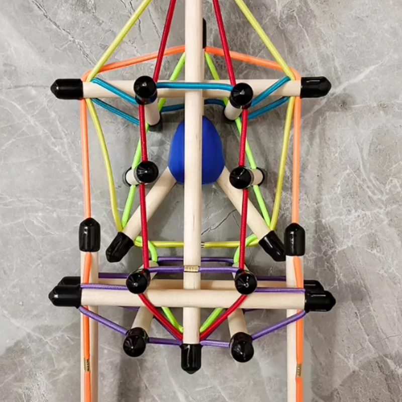 Spine and Pelvis Tensioning Overall Model Structure Fascia Tensioning Body Teaching Aid Demonstration Dynamic Axis Anatomy Train