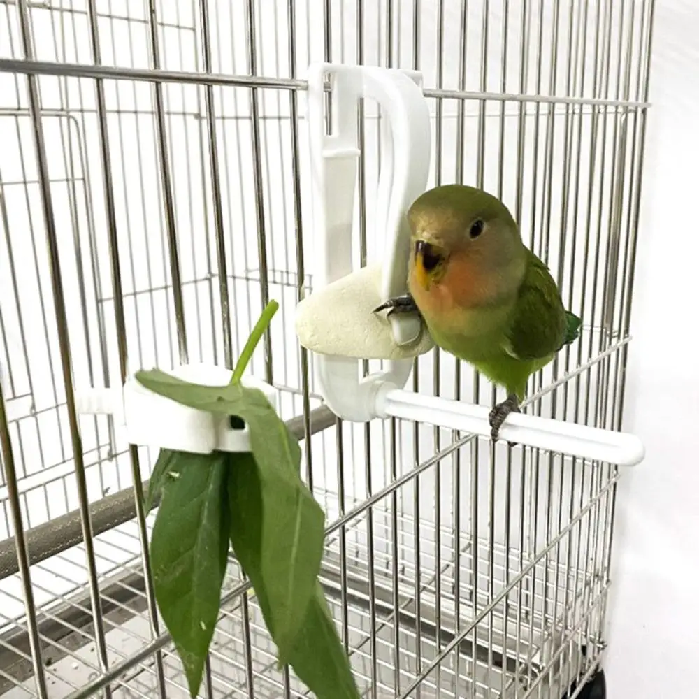 

Conure Budgie Fruit Small Animals Vegetable Cage Accessories Bird Food Holders Feeding Clamp Parrot Feeder Cuttlebone Clip