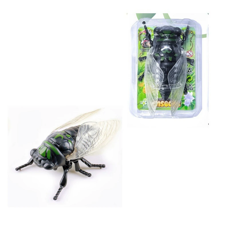 Variant: 1 Pcs Green