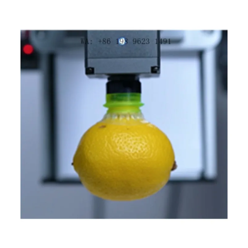 Flexible Pneumatic Soft Gripper Customized Bionic End Effector for Collaborative Robot Industrial Automation Production Line