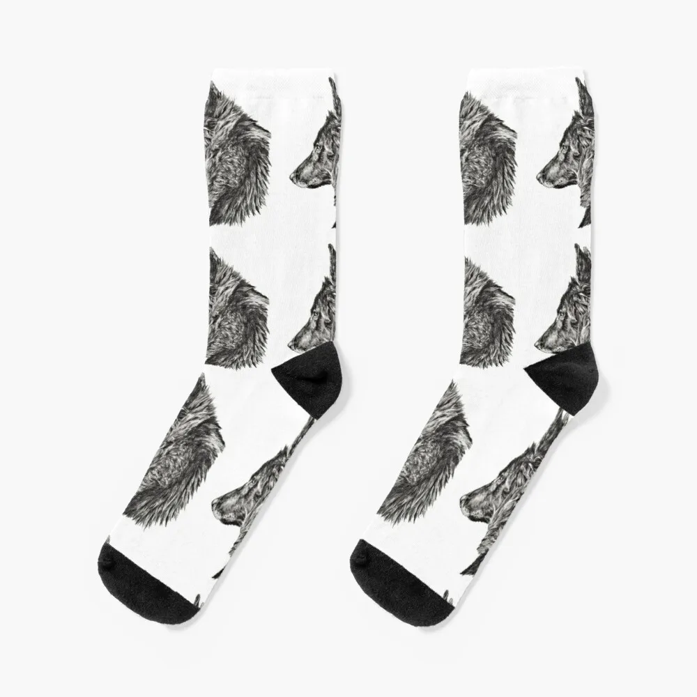 

belgian shepherd dog groenendael Socks Socks Cycling