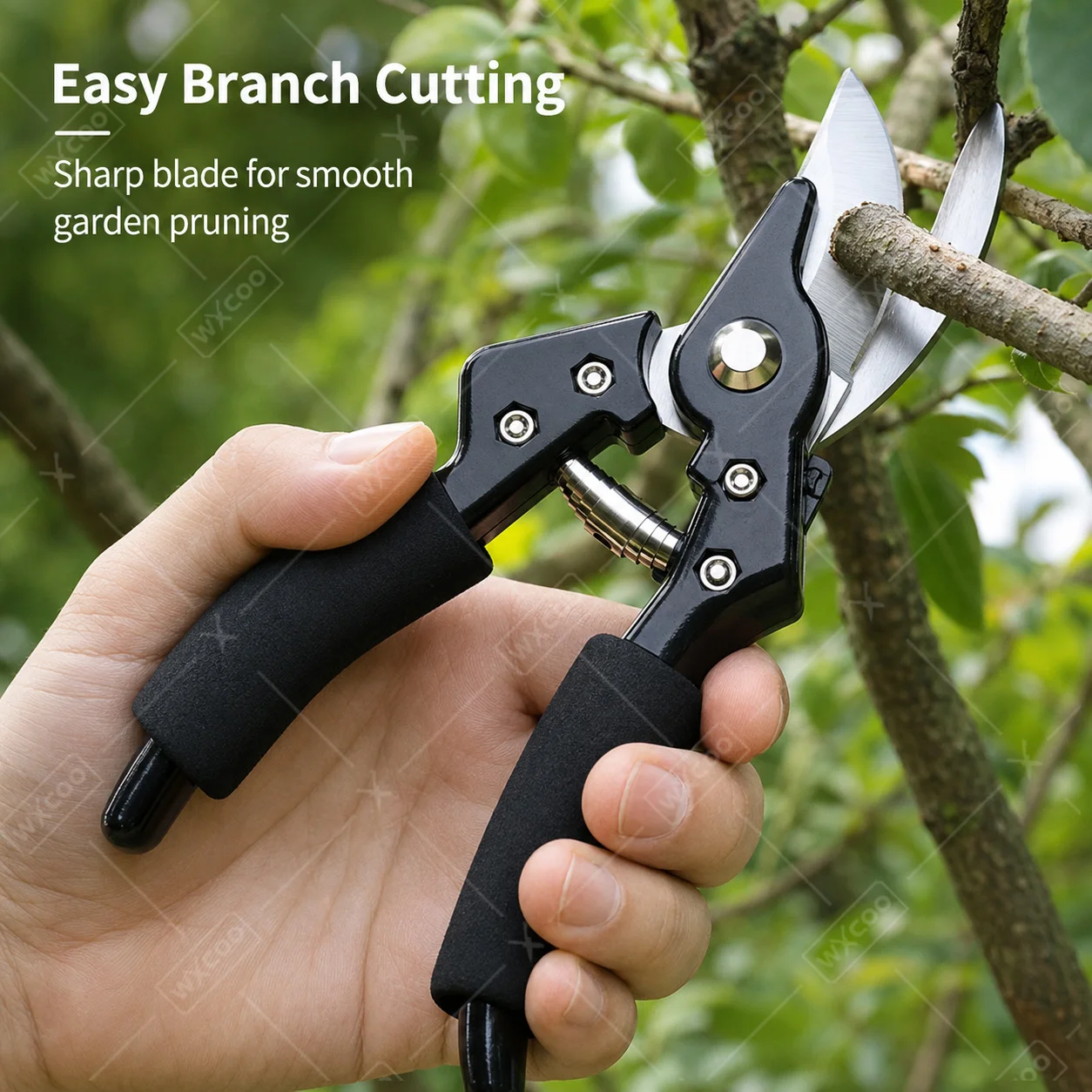 Stainless Steel Scissors for F - Gardening Tools To Cut Branches review and price