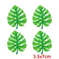 PE17594CT