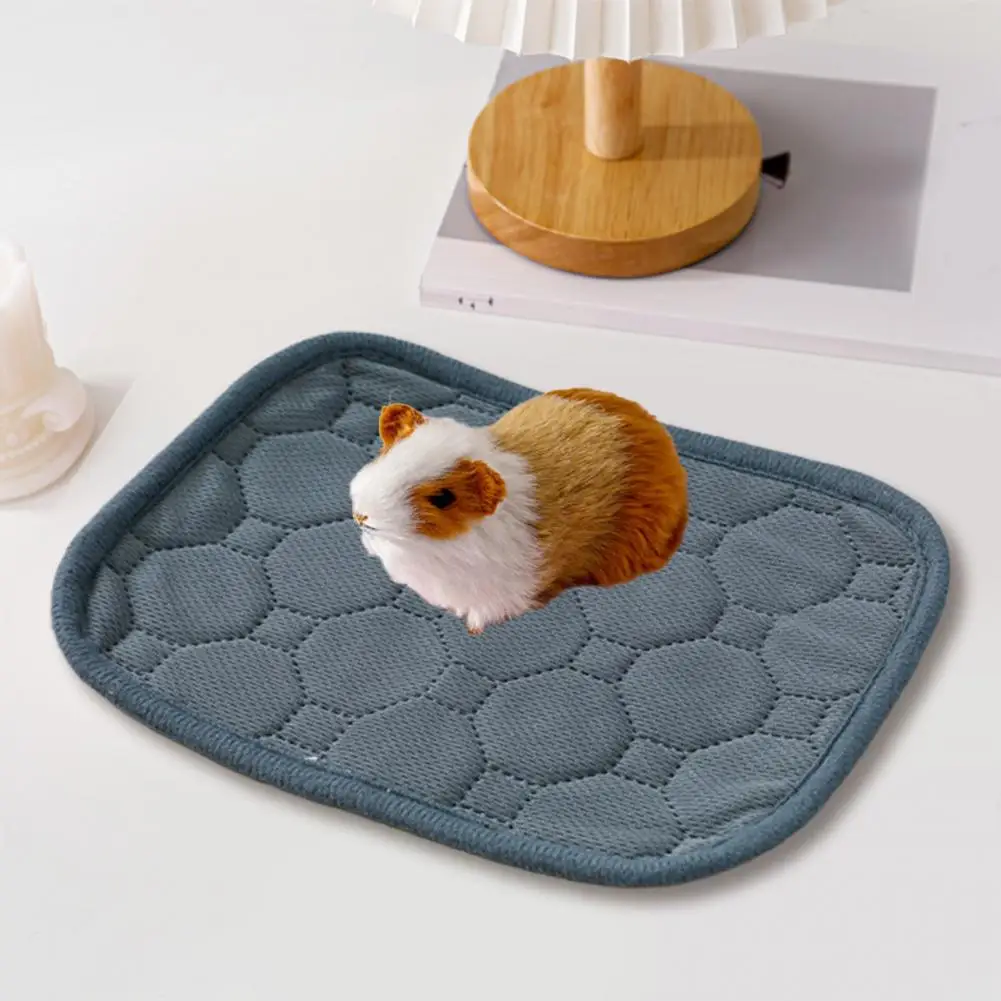 Hamster Pad Urine Lock Waterproof Guinea Pig Rabbit Cage Liners Highly Absorbent Pee Pads for Small Pets Anti-slip for Hamsters