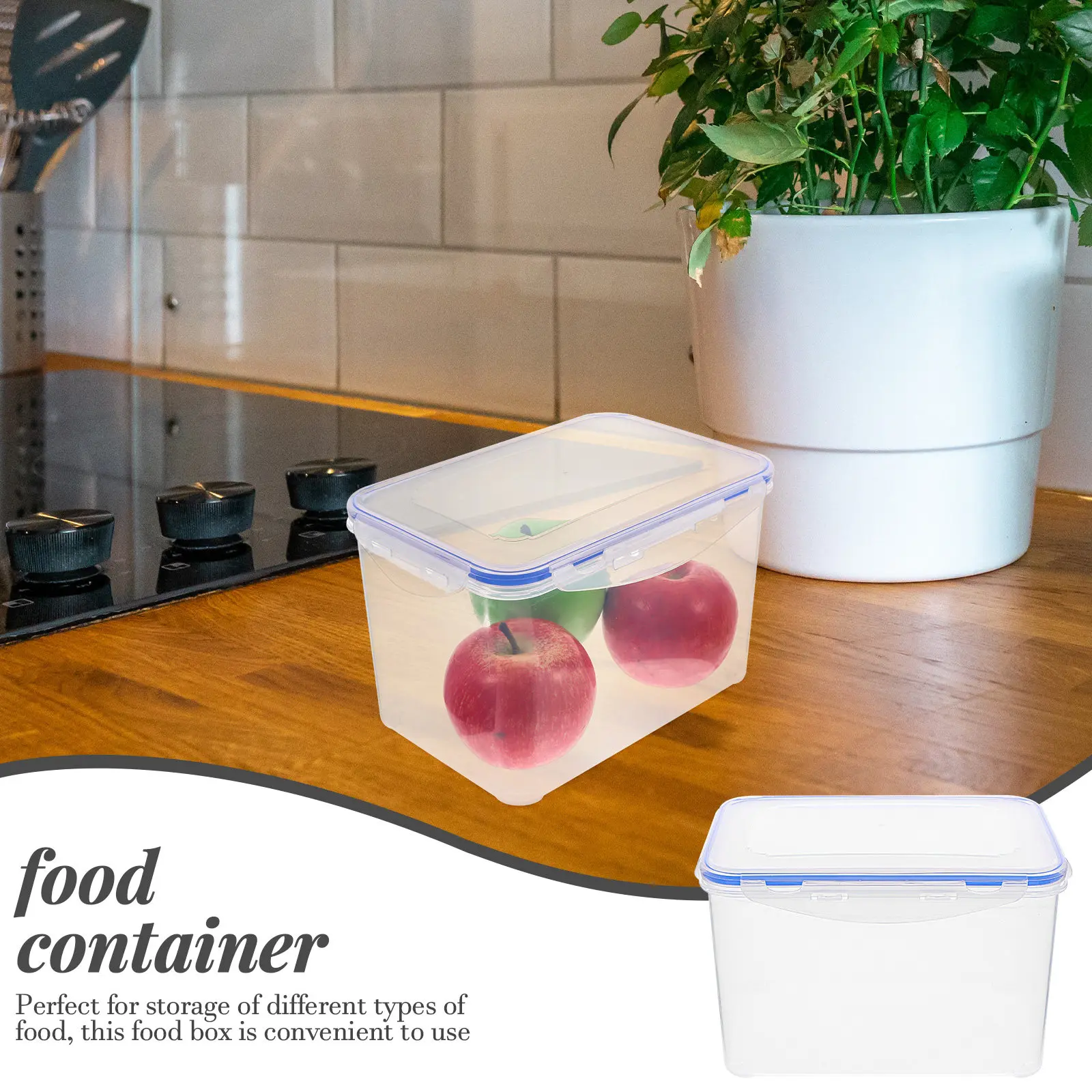 Food Fresh-Keeping Box Portabl - Food Storage For Long Term ulasan dan harga